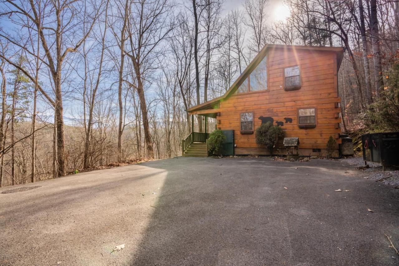 Moonshine Ridge Cabin With Hot Tub And Fire Pit 비둘기 포지 외부 사진